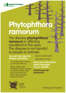 Sign giving details of Phytophthora ramorum outbreak