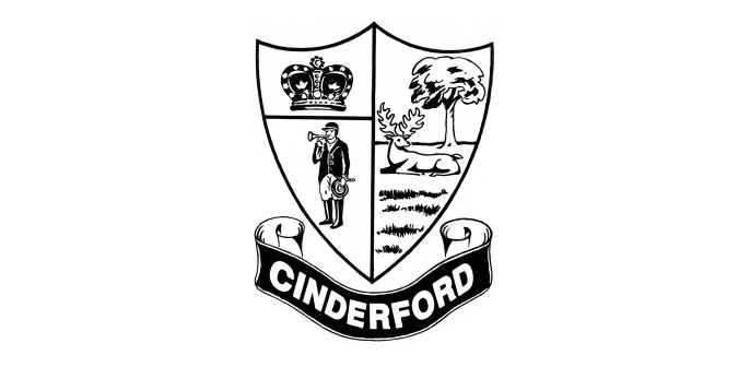 Cinderford Town Council logo crest